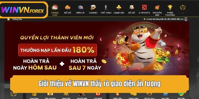 Giới thiệu về WINVN thấy rõ giao diện ấn tượng