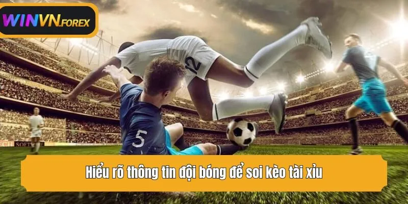 Hiểu rõ thông tin đội bóng để soi kèo tài xỉu
