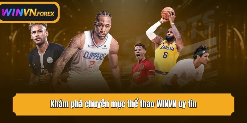 Khám phá chuyên mục thể thao WINVN uy tín