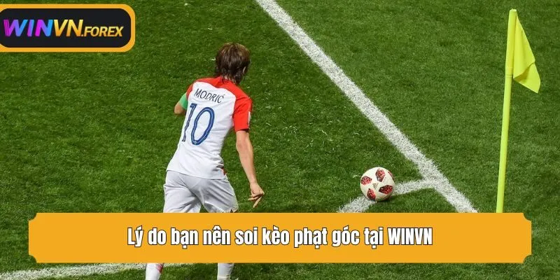 Lý do bạn nên soi kèo phạt góc tại WINVN