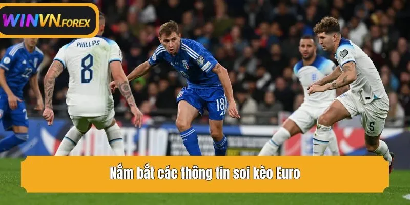 Nắm bắt các thông tin soi kèo Euro