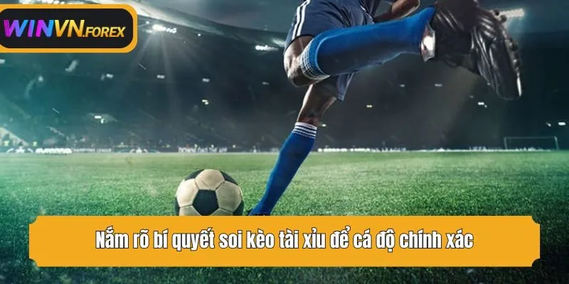 Nắm rõ bí quyết soi kèo tài xỉu để cá độ chính xác