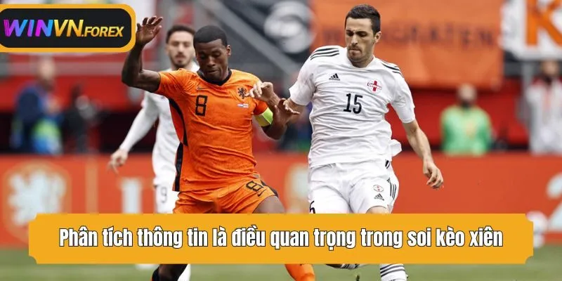 Phân tích thông tin là điều quan trọng trong soi kèo xiên