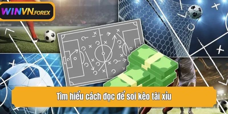 Tìm hiểu cách đọc để soi kèo tài xỉu